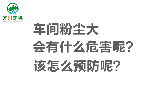 車間粉塵大會(huì)有什么危害呢？該怎么預(yù)防呢？